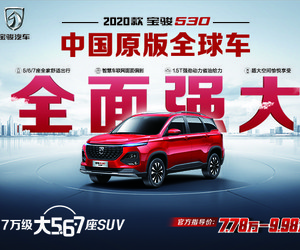 2020款530全新上市 中国原版全球车 售7
